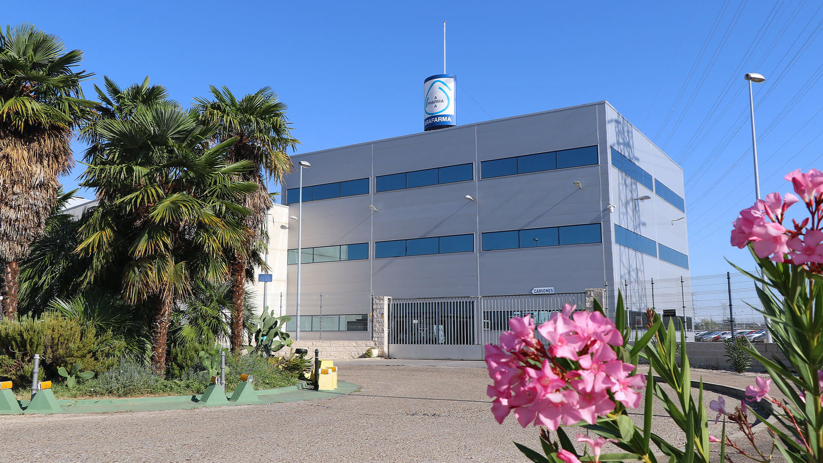 Edificio Arafarma Group