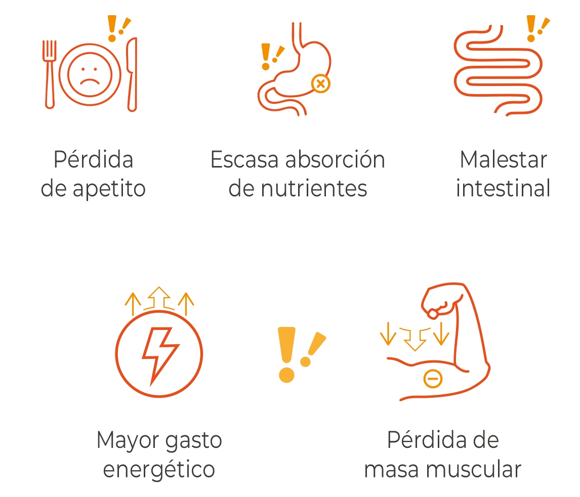 aracomplexplus_mejora_la_calidad_de_vida