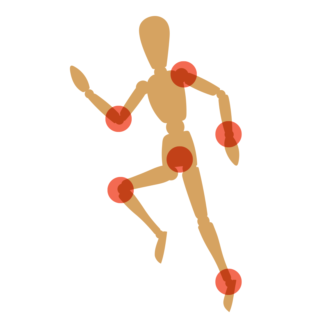 corredor_tenflex_ligamentos