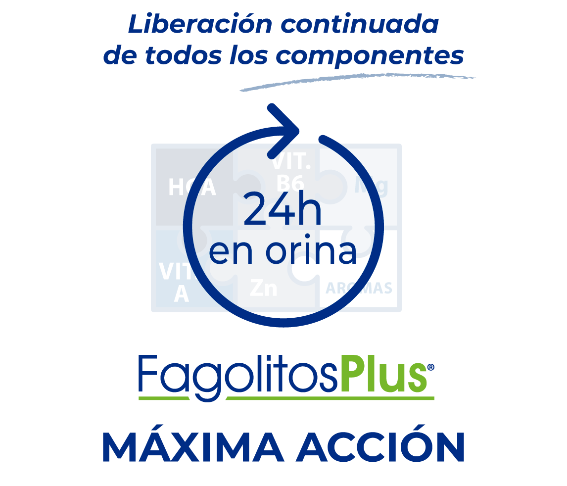 fagolitosplus_proteccion_24h