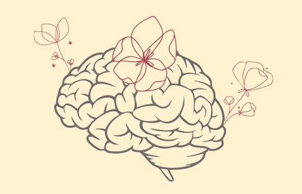 fibrofix plus bienestar emocional